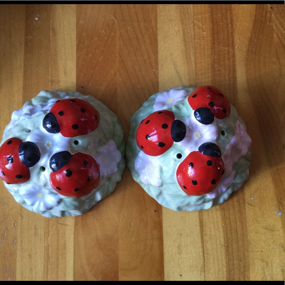 Lenox Butterfly Meadow Ladybug Salt and Pepper